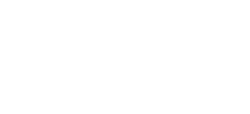 Jungle Tings Audio